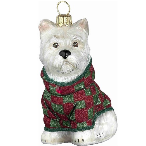 West highland terrier - terrier, in