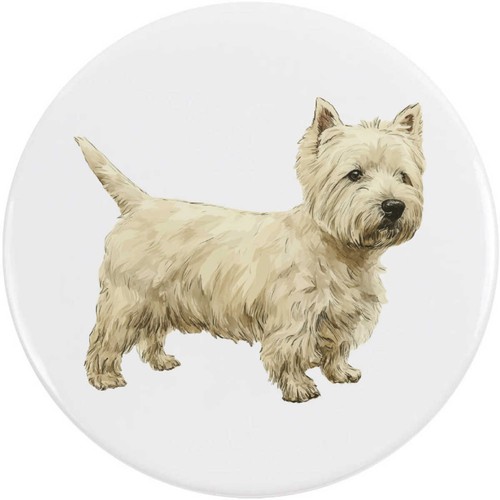 Westie dog side - dog, view'