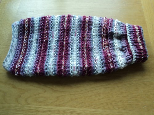 Hand knitted dog cat - hand,