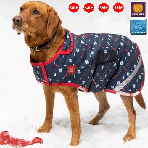 Waterproof dog coat - waterproof,
