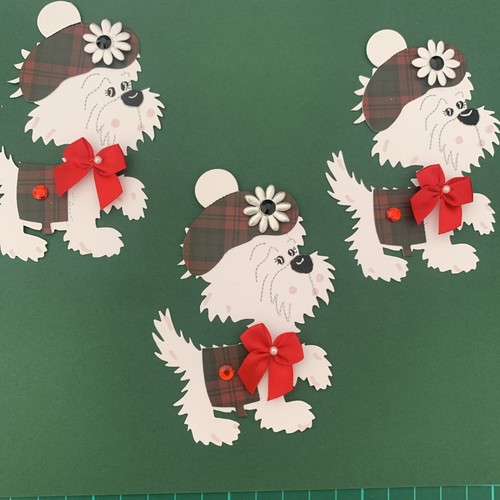 Westies with tartan - 3, and