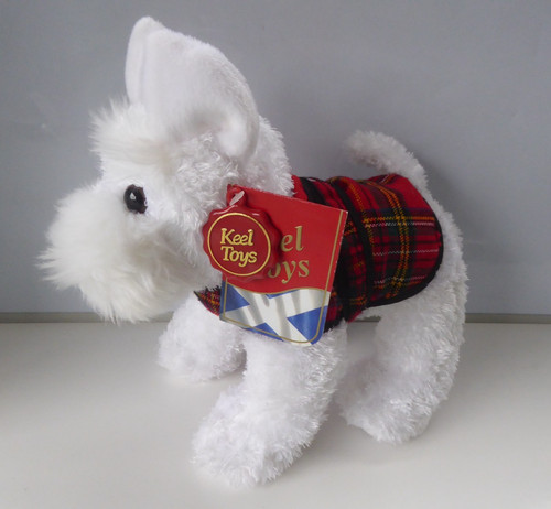 West highland white terrier - highland,