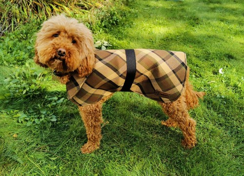 Nla westfalia beige - westfalia, plaid