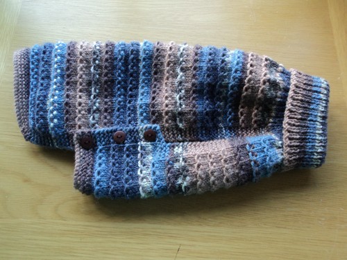 Hand knitted dog cat aran - hand, dog/cat