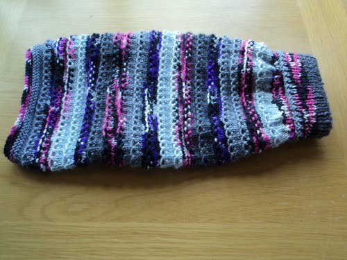 Hand knitted dog cat - hand,