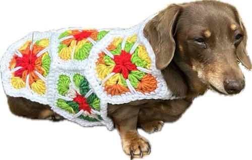 African flower dog coat - dog,