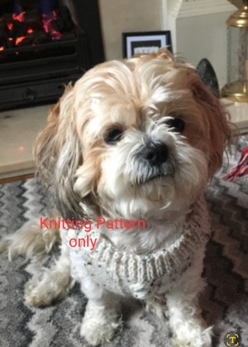 Dog coat knitting pattern shih - dog,