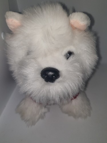 Very rare white - 10", westie